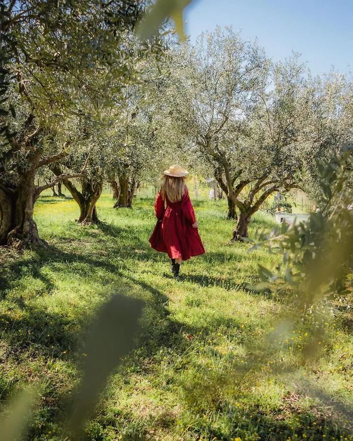Relais Forte Benedek Wine & Spa - Adults Only Pastrengo Farm stay